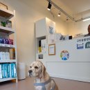 구민동물병원 이미지