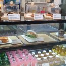 보리수카페 이미지