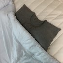 편한집 | 옆으로 자도 편한 베개가 있다? 집앤콕 경추베개 후기