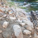 유경농장 이미지