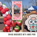 11650-16-177-1 | 2026 제16회 밀양 삼랑진 딸기 시배지 축제 3/21 다녀온 후기