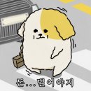 제 40회 DCA 대홍기획 광고 공모전 수상 후기 (롯데 빼빼로)