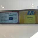 너티위티