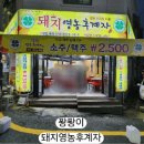 돼지영농후계자태화점