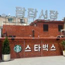 은행광장 | 100년 광장시장 먹거리 카페 스타벅스 광장마켓점 후기