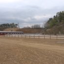 중원대학교 공공승마장 이미지