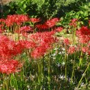 가야 농장 이미지