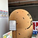 인형뽑기 노리터 | 성수 감자밭 팝업 굿즈, 위치 총정리｜춘천 감자빵 팝업 후기