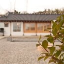 종달새노래할때