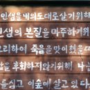미술관 자작나무숲 이미지