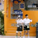 환호종합