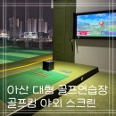 더 존 스크린골프연습장 | 아산 대형 골프 연습장 <골프킹> 야외 스크린 이용후기