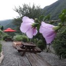 남천민박 이미지