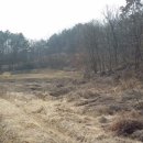 개군면사무소 이미지