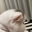 락락 이미지