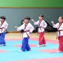 MJ태권도장 이미지