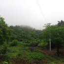인암축산 Daum카페