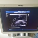 올포메드 이미지