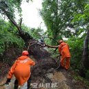 전북 179 전북일보