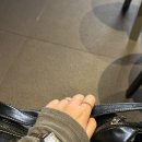 클래식브라운 | 내돈내산 카시오 클래식 가죽시계 브라운 후기｜데일리 시계 추천 가성비까지 만족