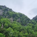 황매산(黃梅山)의 철쭉 이미지