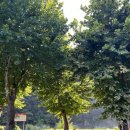 삼탄유원지화장실(1) 이미지