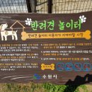 금곡동반려견놀이터 이미지