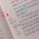 로이디컬