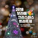크리스마스 트리 축제 이미지