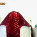 로데오수선 이미지