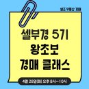 부동산 공경매 실전투자 | [공지] [셀부경5기] 셀프 부동산 경매 왕초보 강의 5기 시작⭐