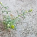 계양경기장 이미지