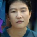 애견포차 네이버블로그