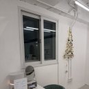 권선동 1367 | 인계동왁싱 시내왁싱 눈썹 정리 후기 | 스피드 저통증으로 깔끔하게 변신✨️