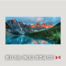 (주)지노트 | [공지] [혼자 하는 캐나다 영주권] 캐나다 영주권 타임라인 (21년 5월 26일 ~ 22년 4월 27일 업데이트...
