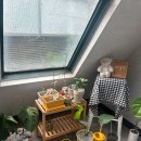 네일졍 | 부산 서면 네일 추천 네일 맛집 ; 네일졍_타샵제거무료 / 내돈내산 리얼후기