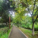 홍련봉공원 이미지