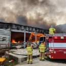 삼척양계장 이미지