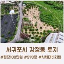 강정동-75 네이버블로그