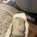 조개본능 이미지