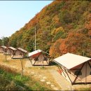 숲속가든캠핑장 이미지