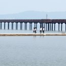 함평돌머리해수찜치유센터 이미지