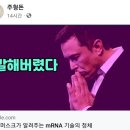 [건강이슈] 일론 머스크. mRNA 기술로 나비 변신도 가능? 이미지