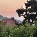 남해-309 이미지