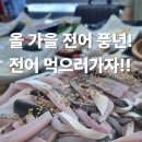 UR(목포시)-[북항로]-상-9 | 올가을 전어 풍년! 가격 반값, 맛은 두 배｜첫 전어 먹방 후기