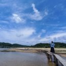 초산보쌈 이미지