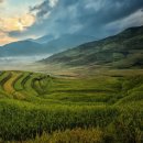 통산2목장 이미지