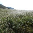 MG새마을금고 건너편 이미지