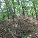 갈전소류지 이미지