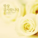긍정체육관 이미지